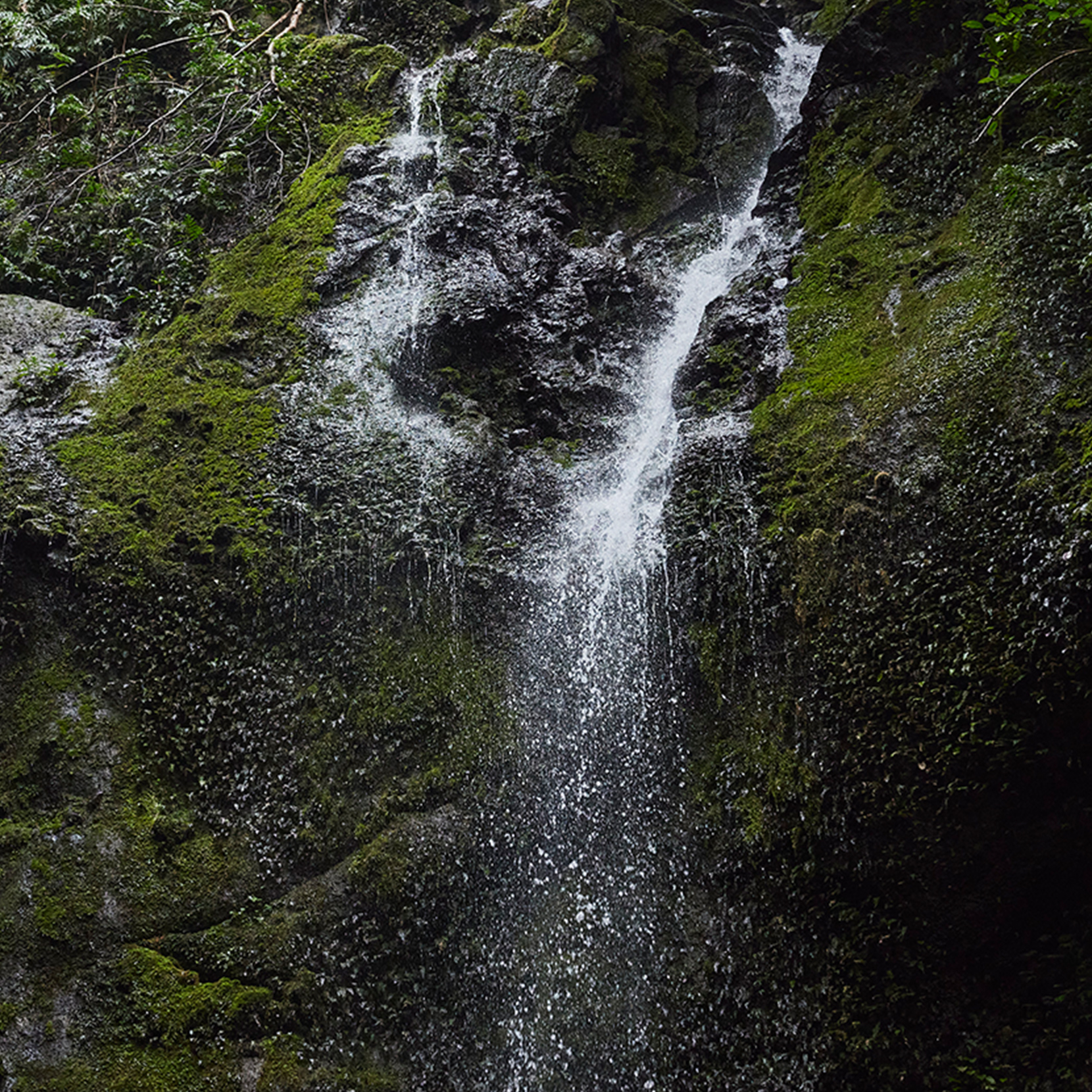 自然の力を感じる女山滝
