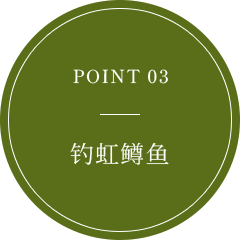 POINT 03 ニジマス釣り