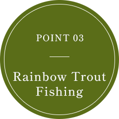 POINT 03 ニジマス釣り
